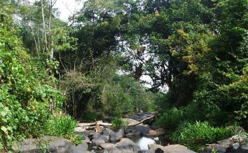 Descubra os Encantos Naturais e Culturais da Região Serrana de Alagoas