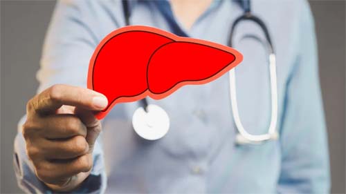 Dicas de alimentos que auxiliam na redução da gordura hepática de forma natural