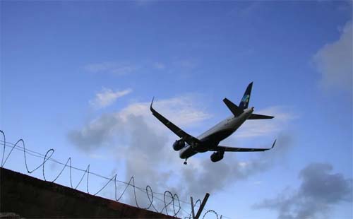 Alagoas registra 22 colisões entre aves e aviões nos últimos 10 anos