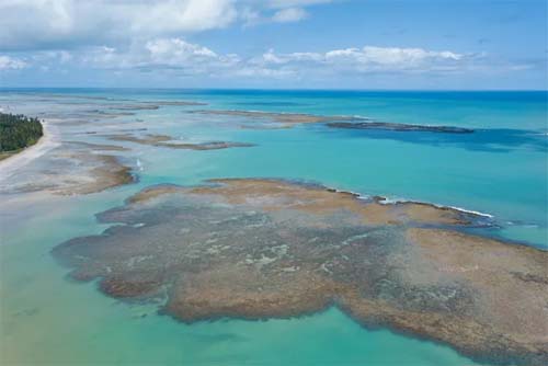 Alagoas promove parceria entre pesquisa e ecoturismo para salvar uma das maiores barreiras de recifes do planeta