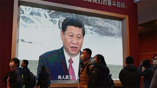 Destaques desta quinta-feira, 11 de novembro