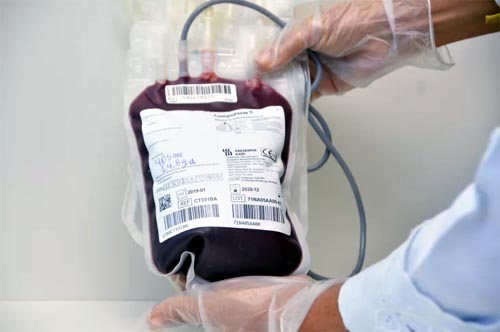 Hemoal promove coleta externa de sangue em Maceió nesta terça-feira (5)