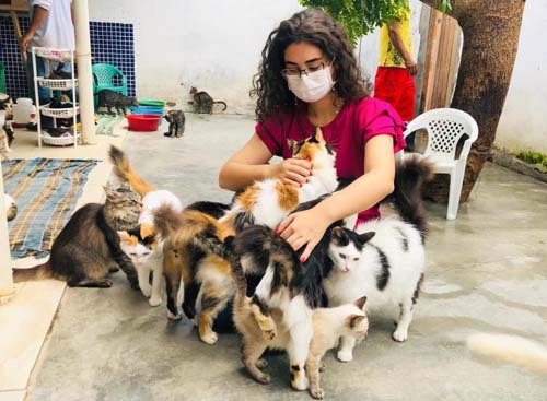 “Os abrigos de animais estão pedindo socorro em Maceió”, alerta Teca Nelma