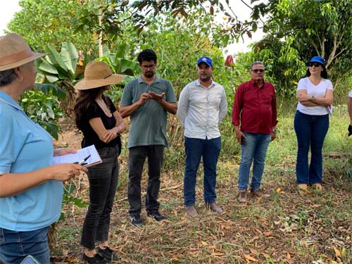 Técnicos da Secretaria de Agricultura visitam assentamento com práticas sustentáveis em Messias