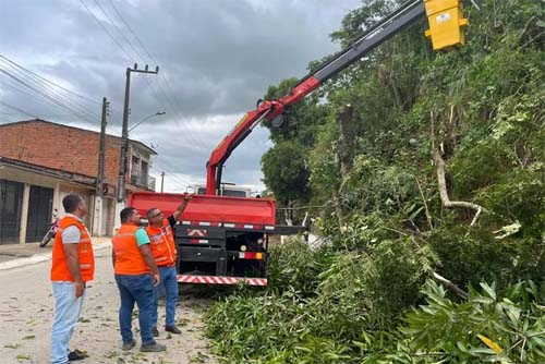 Branquinha intensifica ações de manutenção arbórea para evitar riscos elétricos