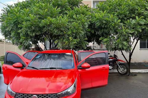 Dono de escritório de contabilidade na Gruta comandava esquema de fraudes em notas fiscais