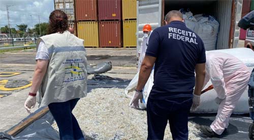 Lixo hospitalar é encontrado em contêineres no Porto de Suape