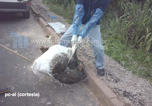 Bárbarie Corpo é encontrado amarrado e queimado dentro de saco de adubo na divisa AL-PE