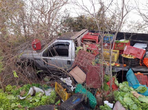 Colisão entre caminhões de hortaliças faz uma vítima fatal em Arapiraca