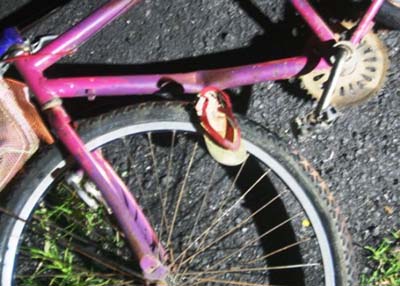 Dois morrem em colisão entre moto e bicicleta na rodovia AL 110