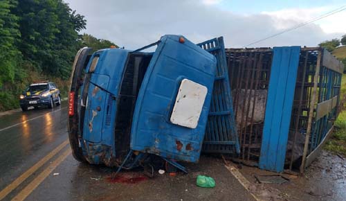 Caminhão com bois capota na BR-104 em Branquinha e motorista tem perna amputada