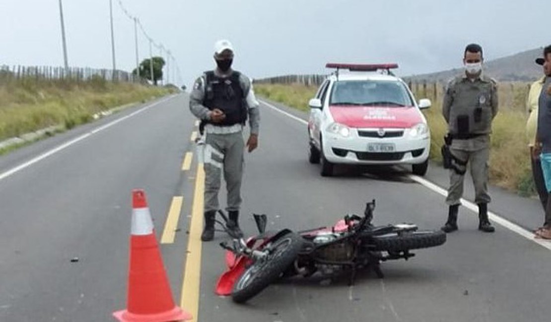 Colisão de moto em animal resulta em homem ferido na Al 155, em Campo Alegre