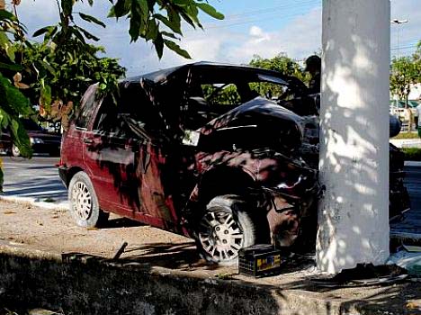 Após grave acidente, vítimas são atacadas por abelhas