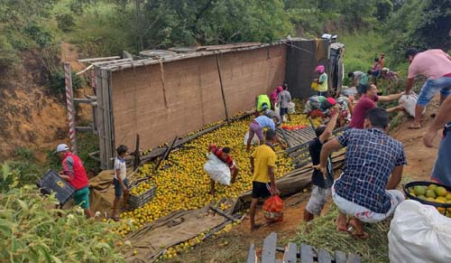 Caminhão com carga de laranja tomba na rodovia AL-115, em Igaci