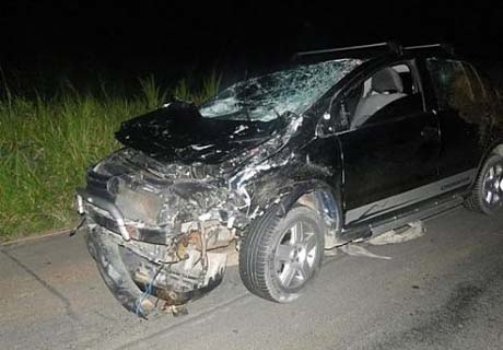 Animais na rodovia AL 220 provocam grave acidente de trânsito