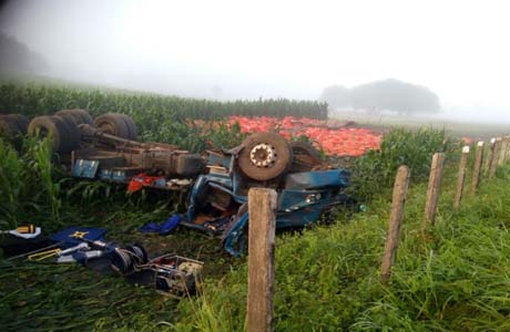 Motorista morre após capotar caminhão na AL-220, em Limoeiro de Anadia