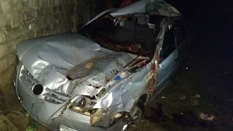 Carro atropela animal e deixa dois feridos entre eles mulher grávida em Piaçabuçu