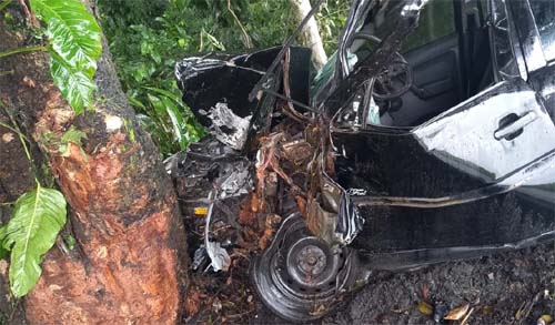 Colisão de carro em árvore deixa h0omem morto preso as ferragens na Al-101 norte