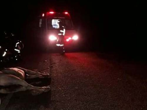 Colisão entre moto e cavalo deixa motociclista morto e agricultor ferido em trecho da AL 220, no Sertão