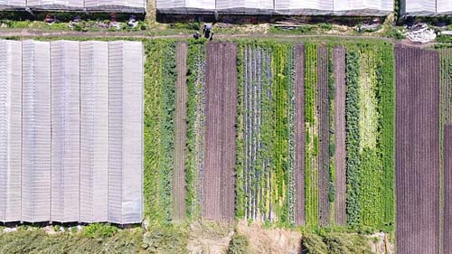 Em relação desigual, acordo Mercosul-UE afetaria pequeno produtor latino-americano