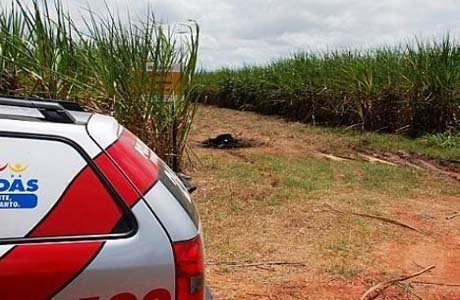 Adolescente é arrastado de casa e tem corpo carbonizado em canavial
