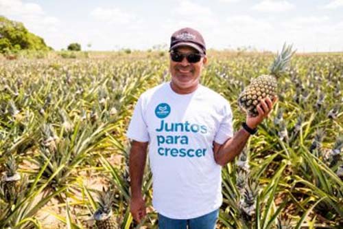 Produtores do estado conquistam novos mercados com o Alagoas Maior