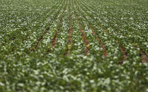 Agronegócio exporta US$ 100 bilhões em 2020