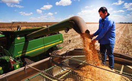 Agro brasileiro bate recorde e exporta US$ 14,25 bilhões