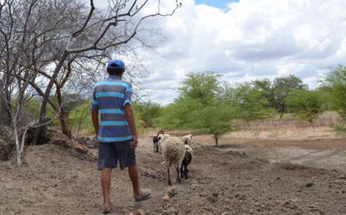 Garantia-Safra autoriza pagamento para mais de 74 mil agricultores familiares em janeiro