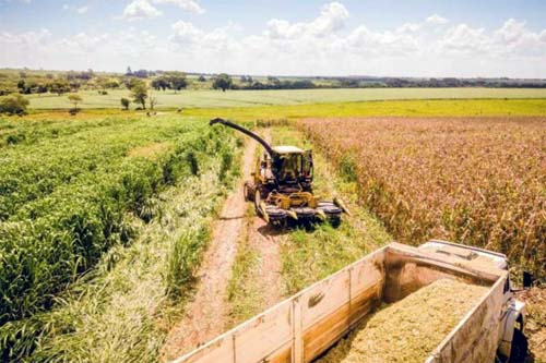 O que explica o “pleno emprego” em 4 estados brasileiros