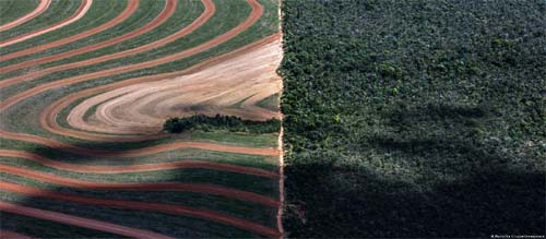 Intoxicação por agrotóxicos mata um brasileiro a cada 2 dias