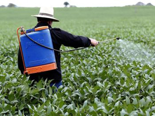 Censo agropecuário mostra aumento no uso de agrotóxicos em Alagoas