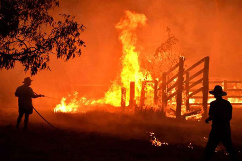 Incêndios na Austrália chegam à periferia de Sydney