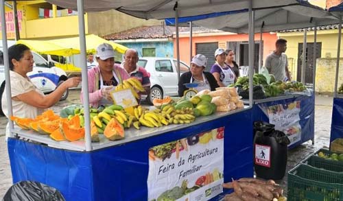 Estado e Ministério da Cidadania lançam Programa de Aquisição de Alimentos