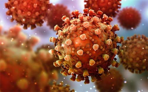 Sesau-Al registra 81 novos  casos de Covid-19 mas não ocorreu nenhum óbito