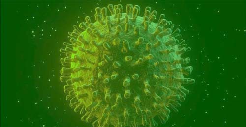 Escolas particulares na capital suspendem aulas após casos de Covid-19 entre estudantes Situações foram encaminhadas para o Ministério Público do Trabalho (MPT)