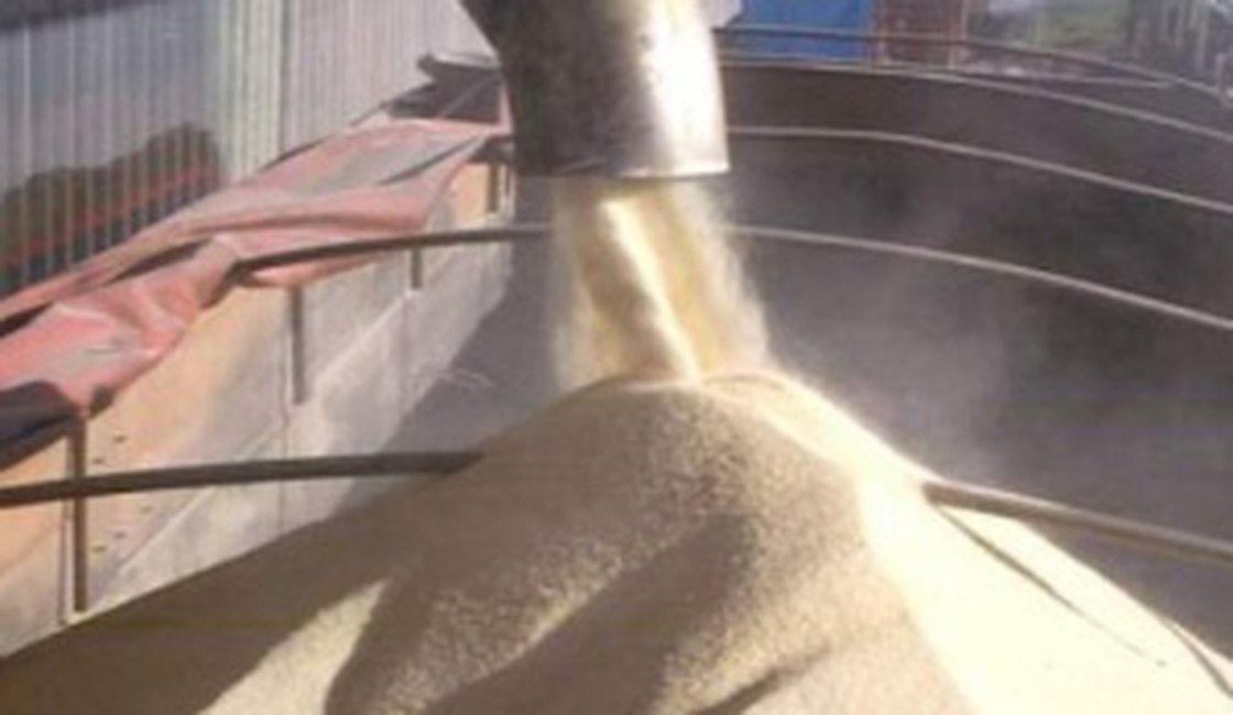 Exportações de Alagoas despencam 96% em janeiro, diz Ministério