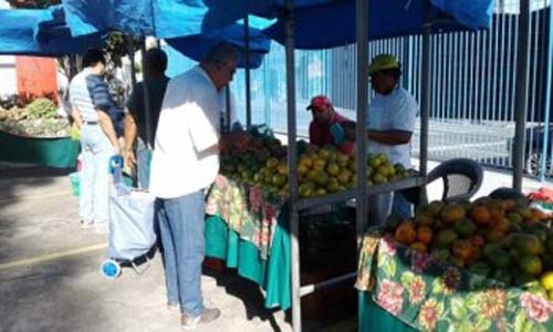Feiras livres no interior de Alagoas são desafio para gestores