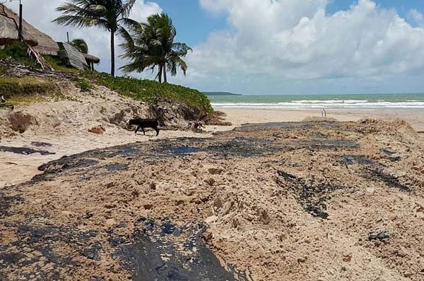 Manchas de óleo: valor e cobertura do benefício a pescadores podem ser ampliados