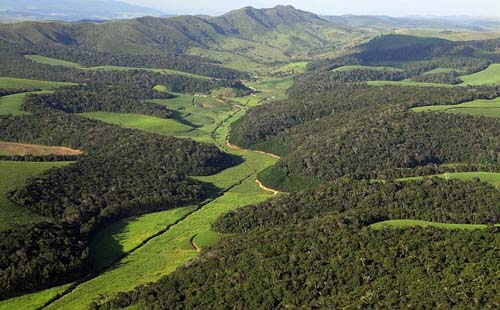 Em balanço divulgado, consta que 160,52 hectares de área foram embargados