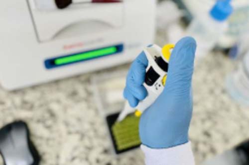 Perícia Oficial traça perfil químico da cocaína vendida em Alagoas