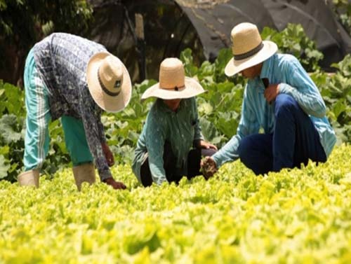 PIB de Alagoas tem alta de 3,33% em 2017 e apresenta 3º maior crescimento do Nordeste