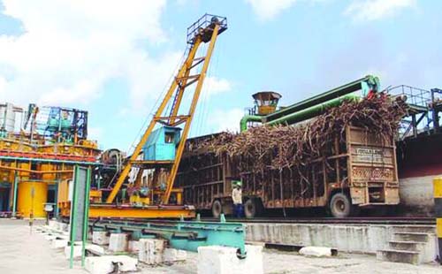 Moagem 21/22 entra na reta final com crescimento de safra