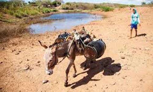 Desde outubro de 2020, há seca em 100% do território alagoano, aponta estudo