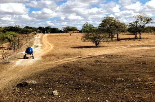 Seca em AL deixa 42 municípios em situação emergencial