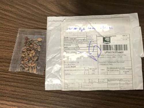 Alagoas tem 15 postos da Adeal e 69 escritórios para recolher 