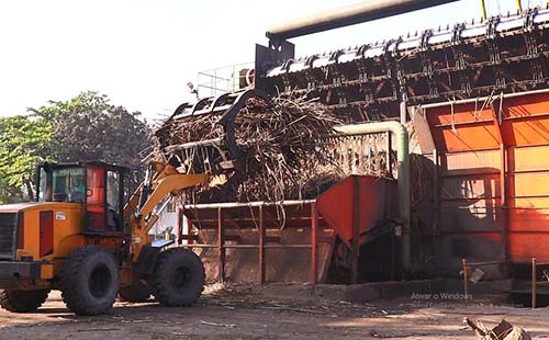 Usinas processaram 5,3 milhões de toneladas de cana