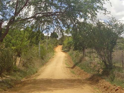 Indígena é estuprada dentro de aldeia por dois homens quando retornava para casav