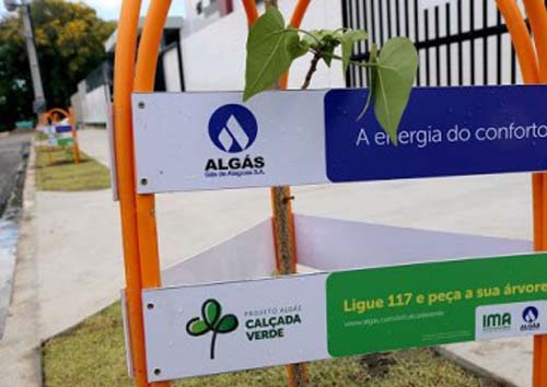 Economia mais verde: No Dia Mundial do Meio Ambiente, Algás aponta vantagens do gás natural