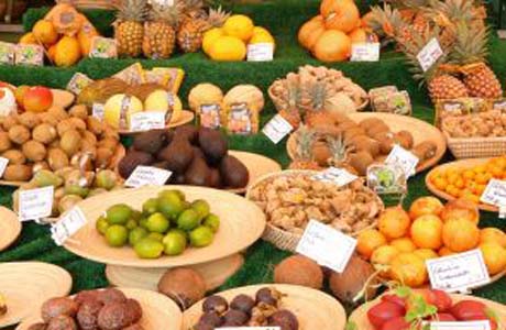 Quais os alimentos que auxiliam no controle do colesterol?